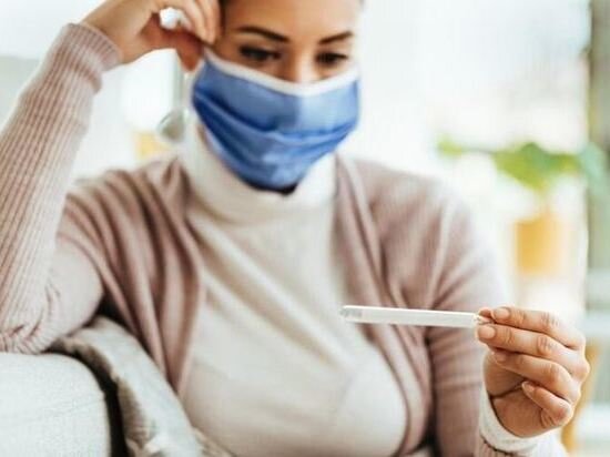     Фото: @Drazen Zigic, freepik.com.