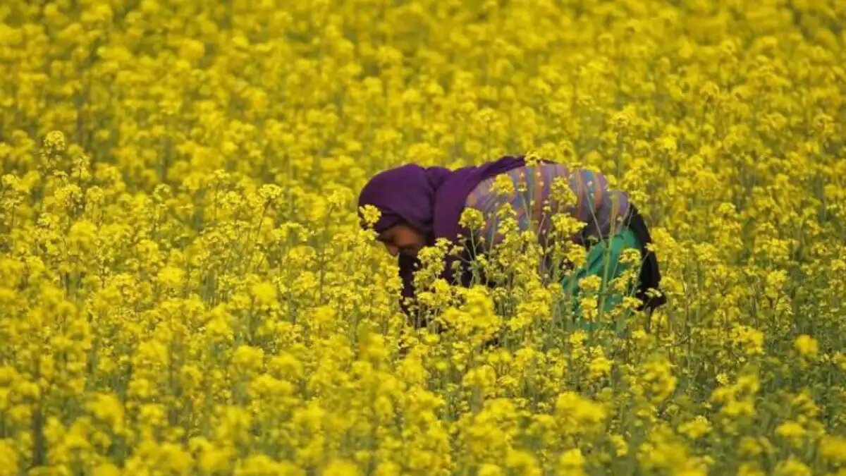 Фото:agropages.com