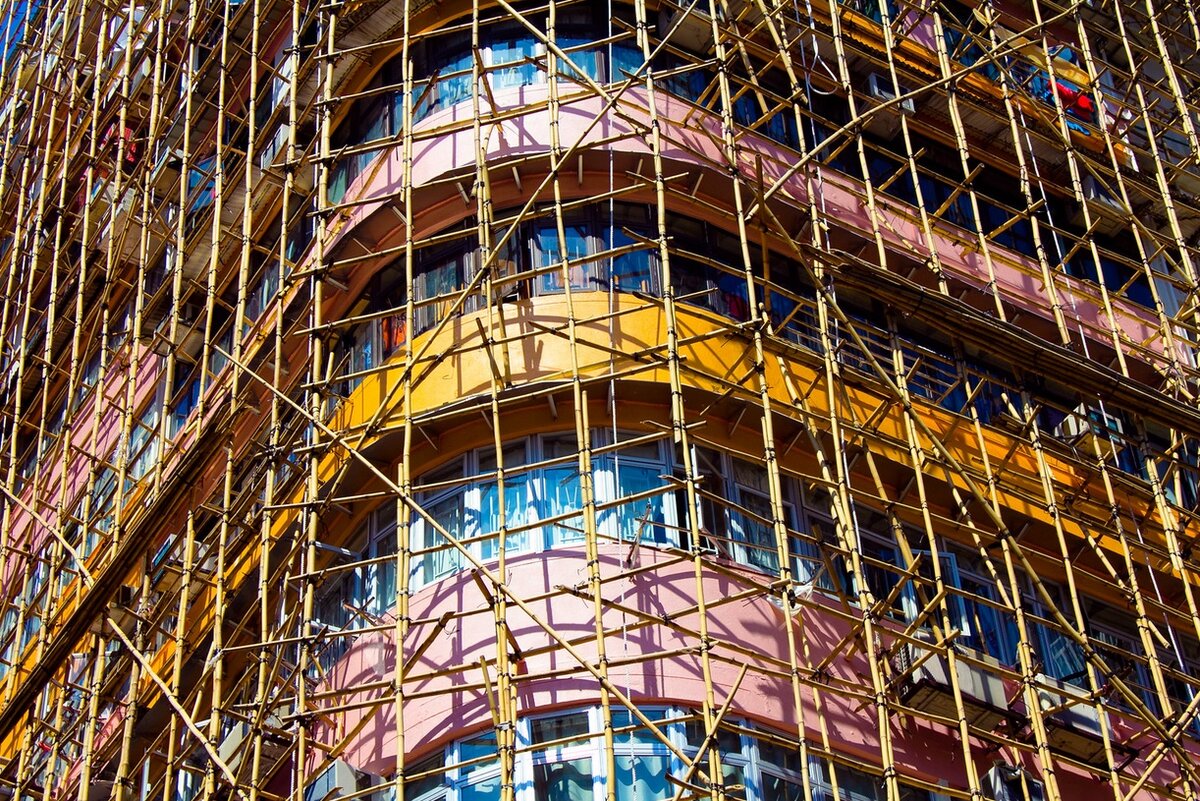 Бамбук это самая прочная трава  на свете