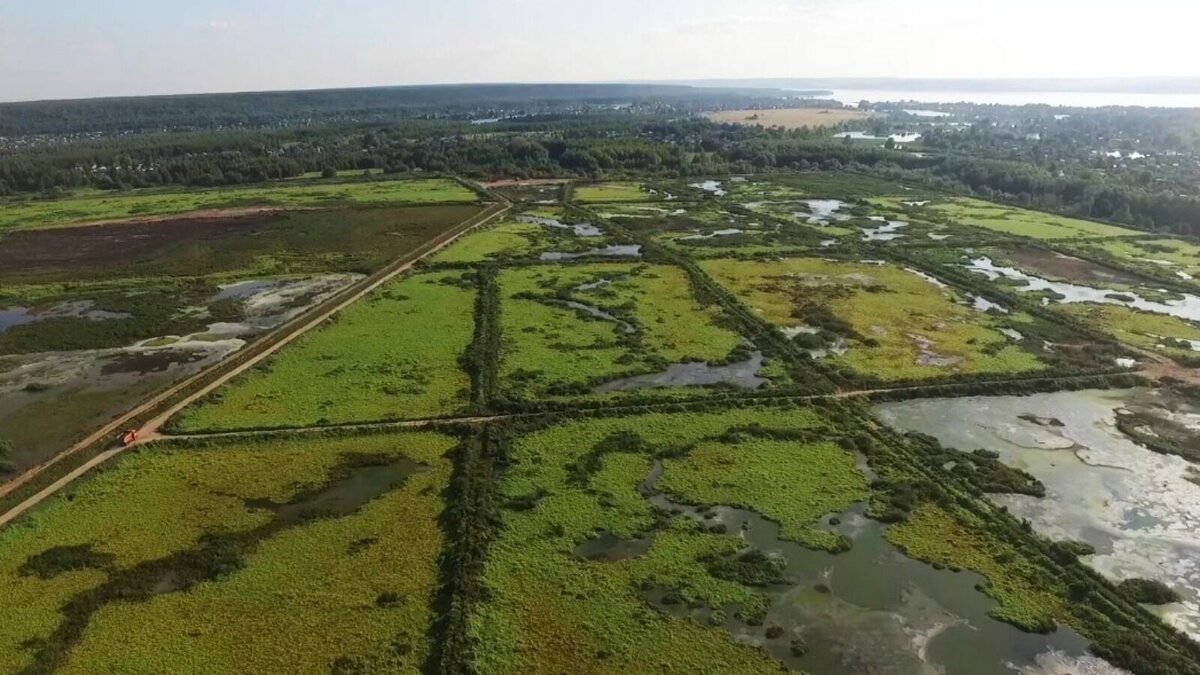     В 2024 году в Казани планируется завершение рекультивации иловых полей. Стоимость работ составила 8,1 млрд рублей. Об этом на итоговой пресс-конференции сообщил министр экологии и природных ресурсов Татарстана Андрей Шадриков.