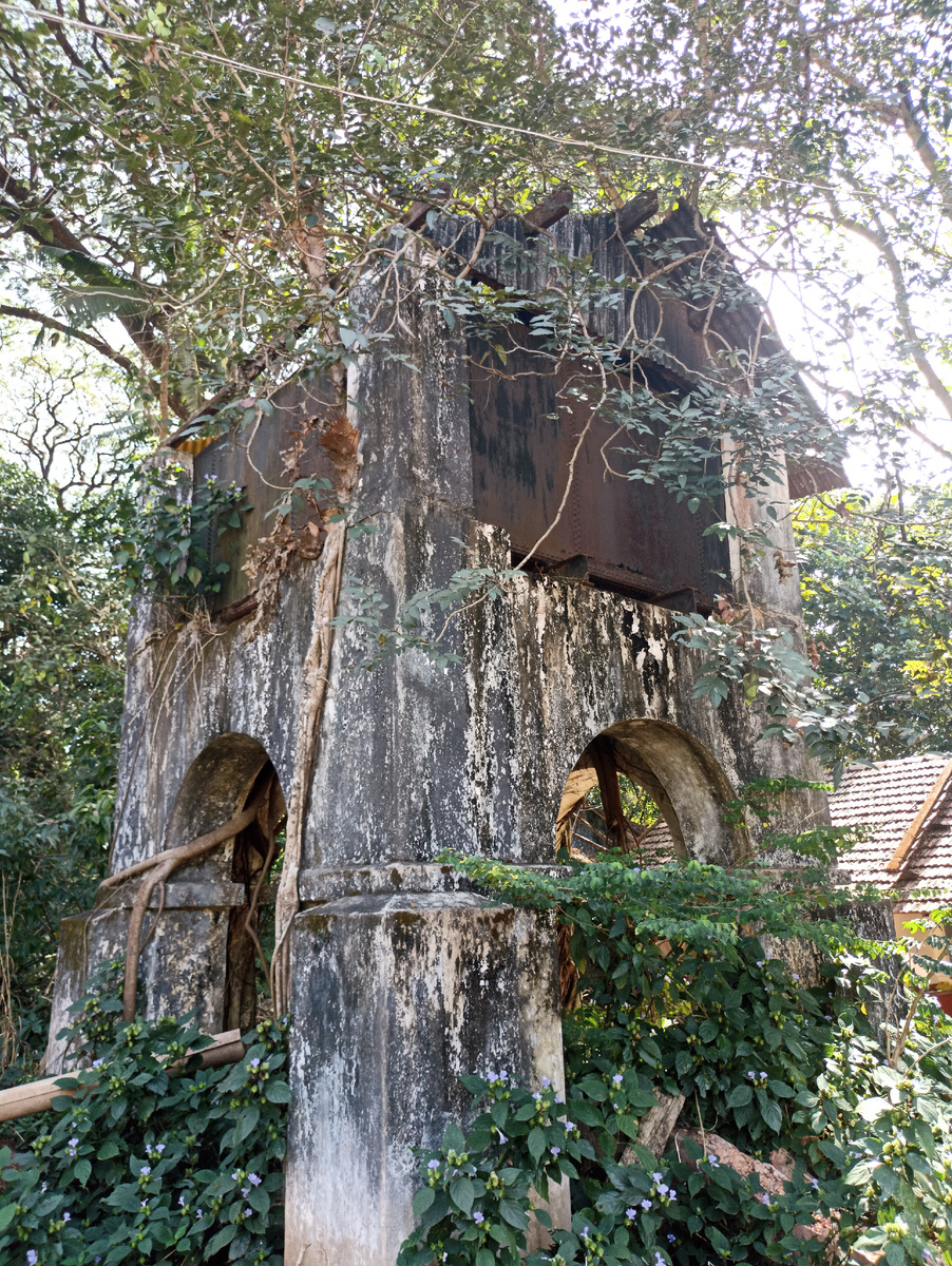 Дом дерево в Мангалоре.