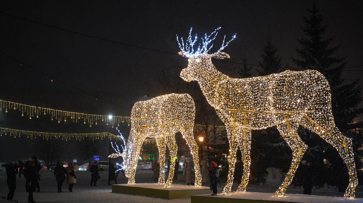    Новосибирск - "Новогодняя столица России-2023"© РИА Новости / Александр Кряжев