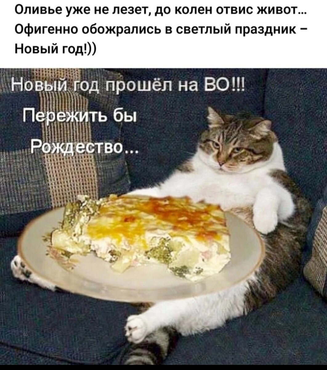 scale_1200