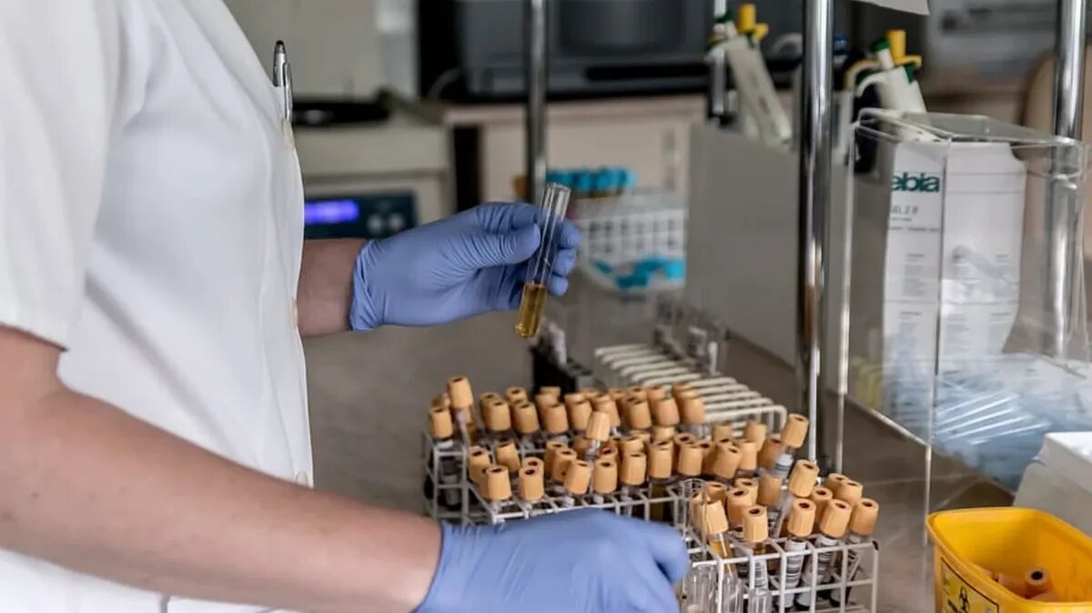 Фото: pxhere.com