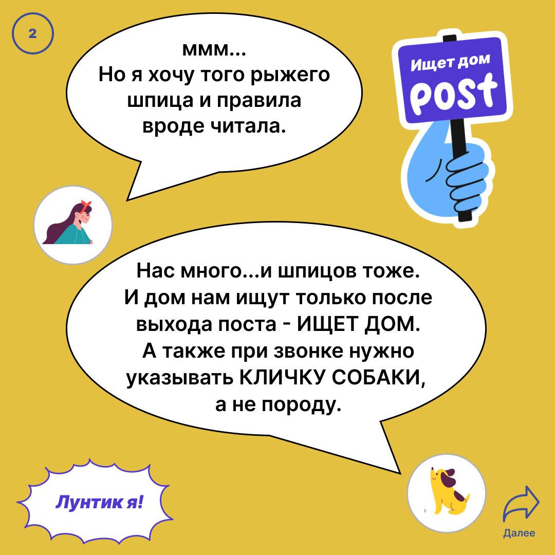 Правила Домика Мелкашей 💛 | Домик Мелкашей - приют маленьких собак | Дзен