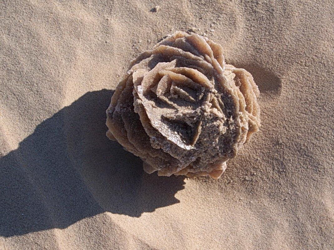 Минерал "пустынная роза"