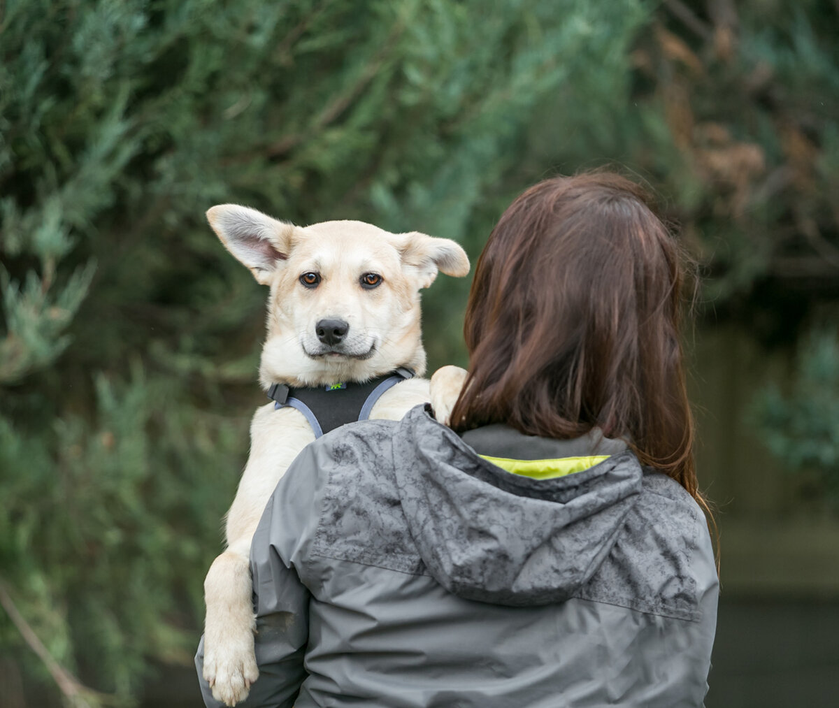 #Найк_Кожухово