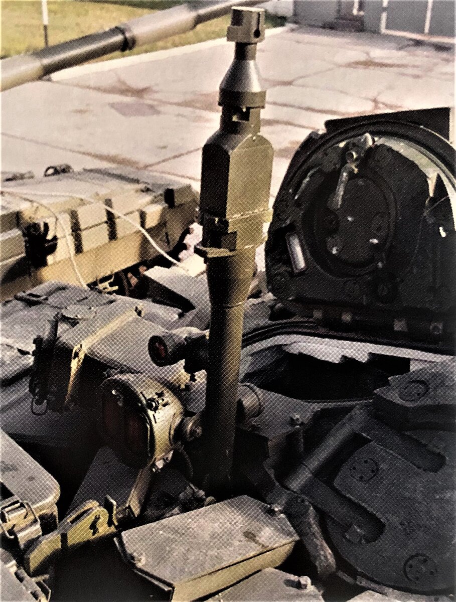 Фото: Сергей Суворов