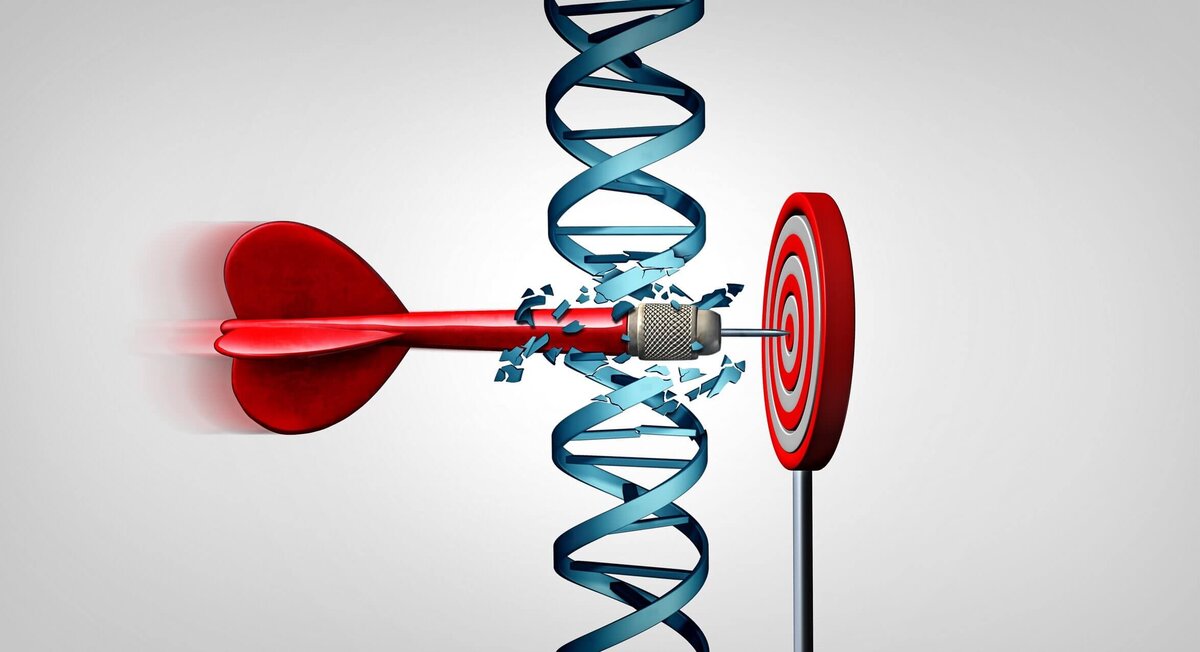 Источник: Яндекс-картинки