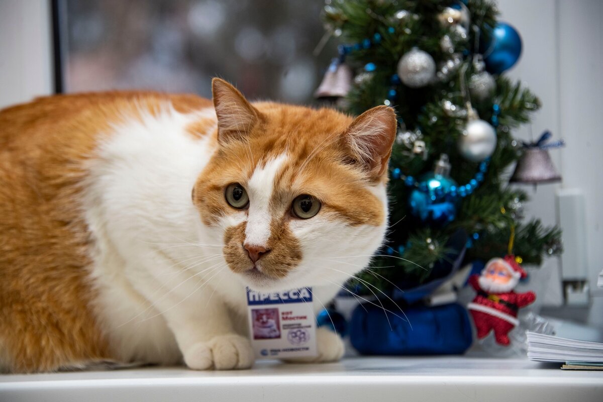 Минутка крымского диалекта!