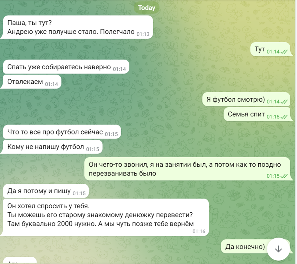Скриншот экрана мессенджера Telegram с началом переписки с мошенником.