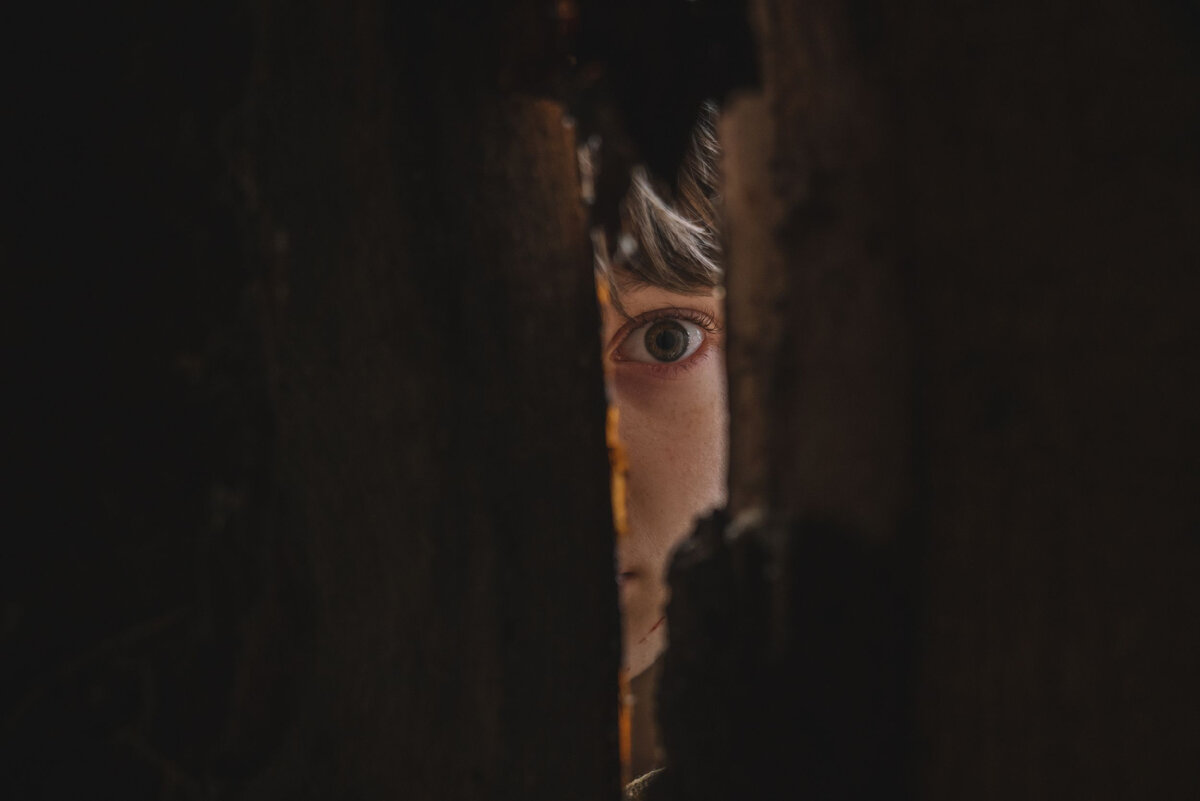 Из свободного доступа