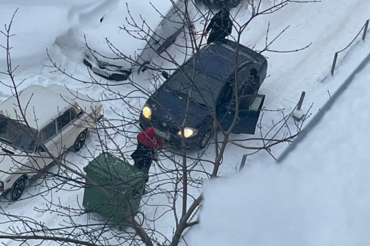    В Новосибирске женщина спровоцировала драку, перекрыв проезд мусорным баком