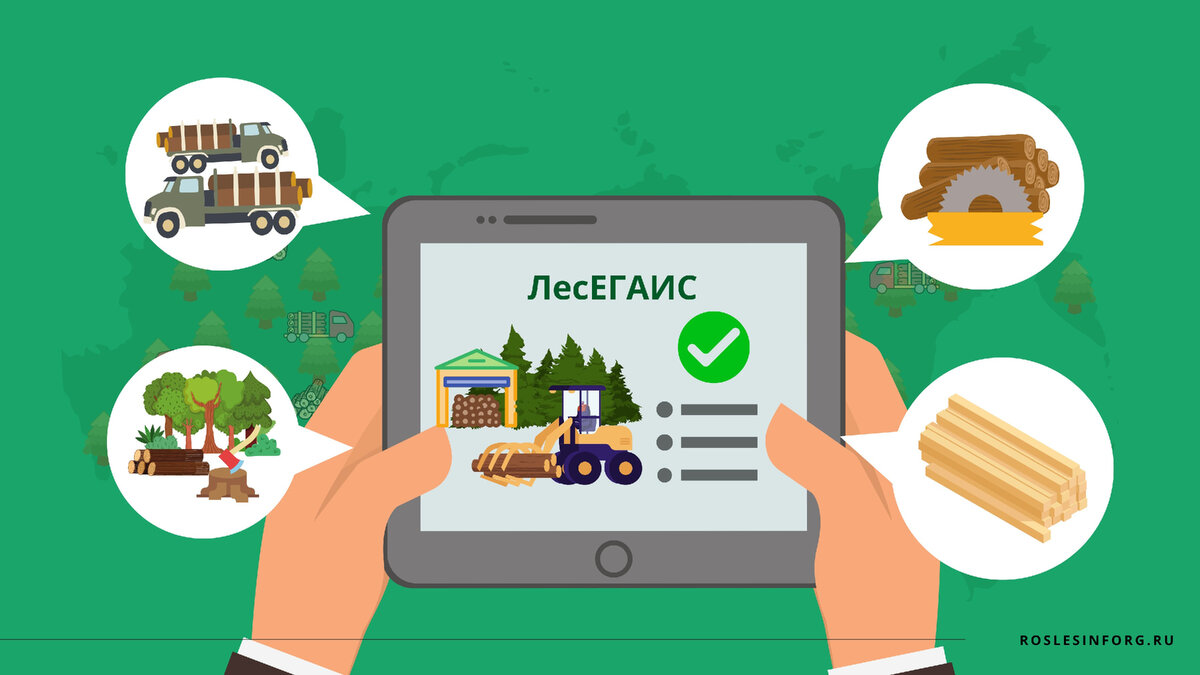 ЛесЕГАИС