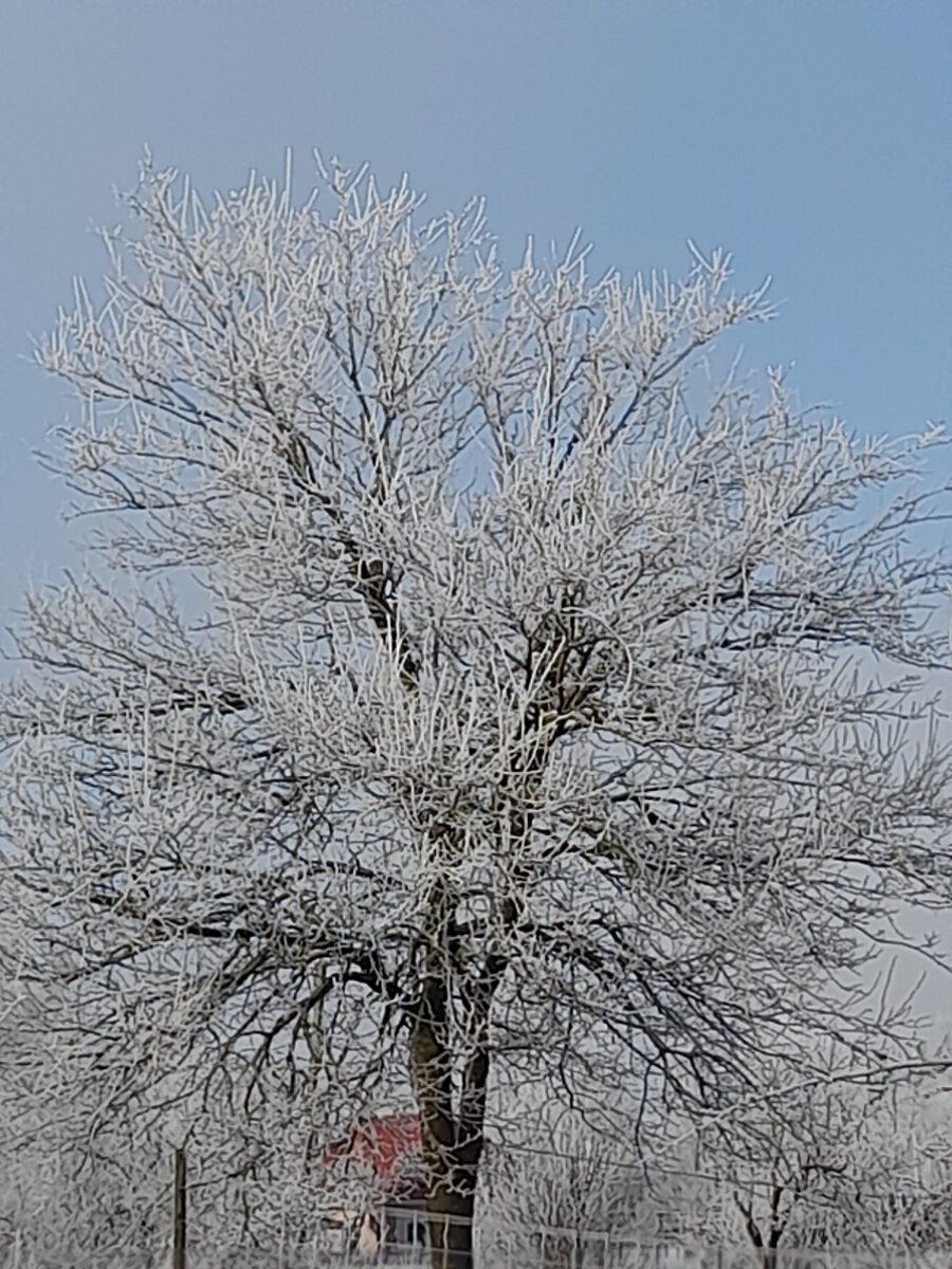 Красота во всём. Фотография.И.Т.