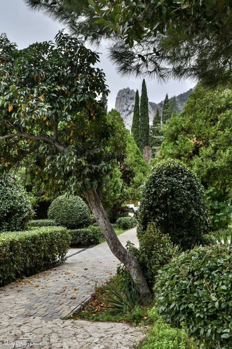 Фото: И. Кузьмин