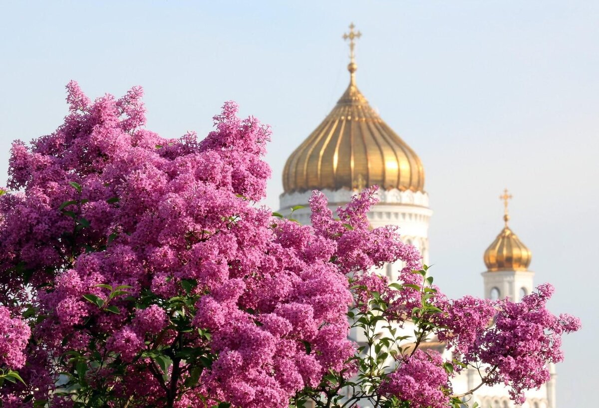 Автор и правообладатель данного изображения: https://www.culture.ru/events/1906739/beseda-narodnyi-kalendar-mai?location=russia