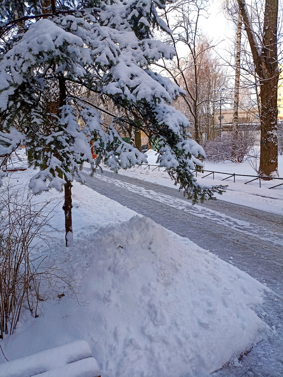 ЁЛОЧКА ВОЗЛЕ НАШЕГО ПОДЪЕЗДА. А ПОД НЕЙ НАВАЛЕН ЦЕЛЫЙ СУГРОБ! 