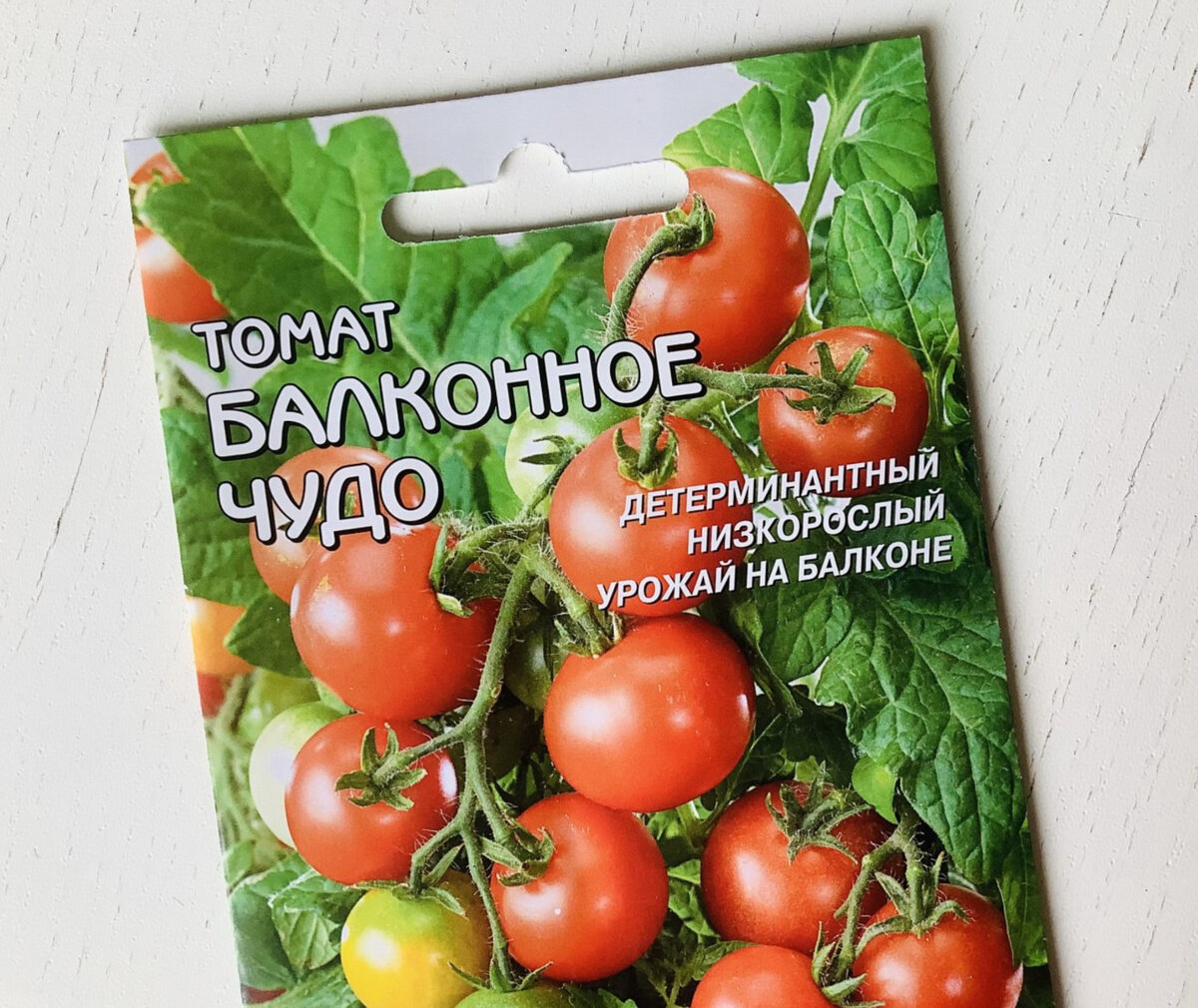 Помидоры Балконное чудо выращивание дома пошагово. Не рассчитывайте на  миниатюрные кустики | Мои «Джунгли» на балконе 🌿 | Все о доме и красоте ❤️  | Дзен