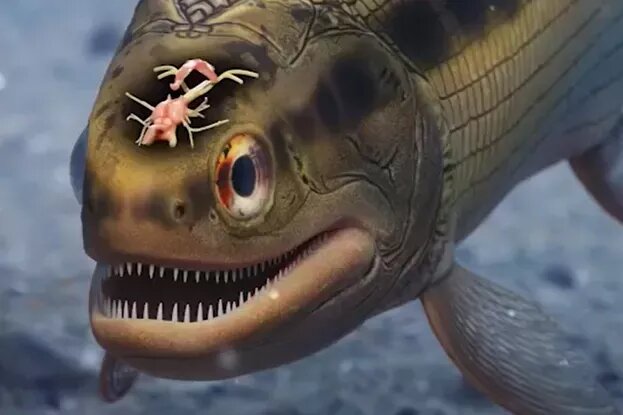     Ученые случайно обнаружили окаменелый мозг в останках рыбы возрастом свыше 300 миллионов лет — это редчайшая находка