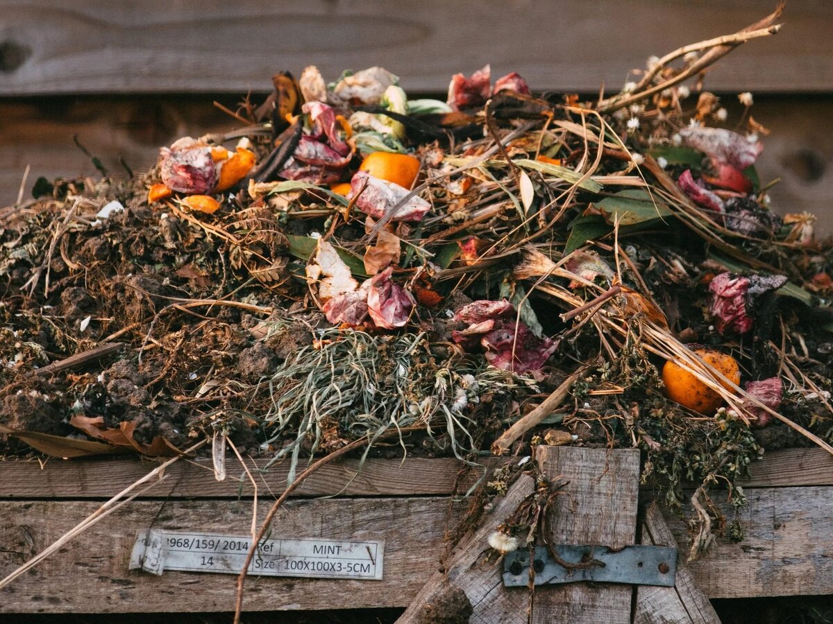 Фото: lifehack.segodnya.ua