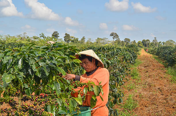 источник: istockphoto.com