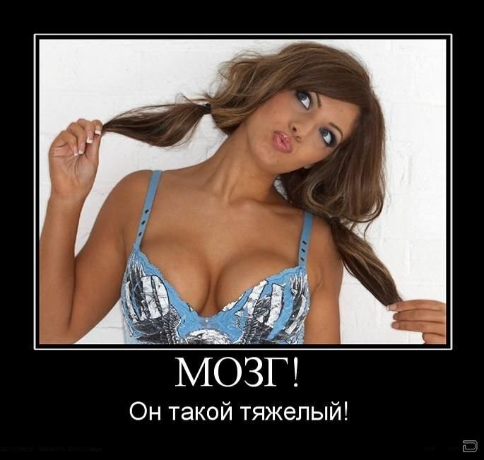 Картинка из открытых источников.