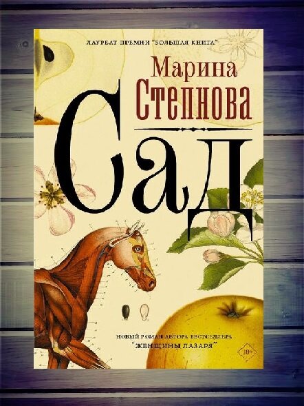 Обложка книги. 