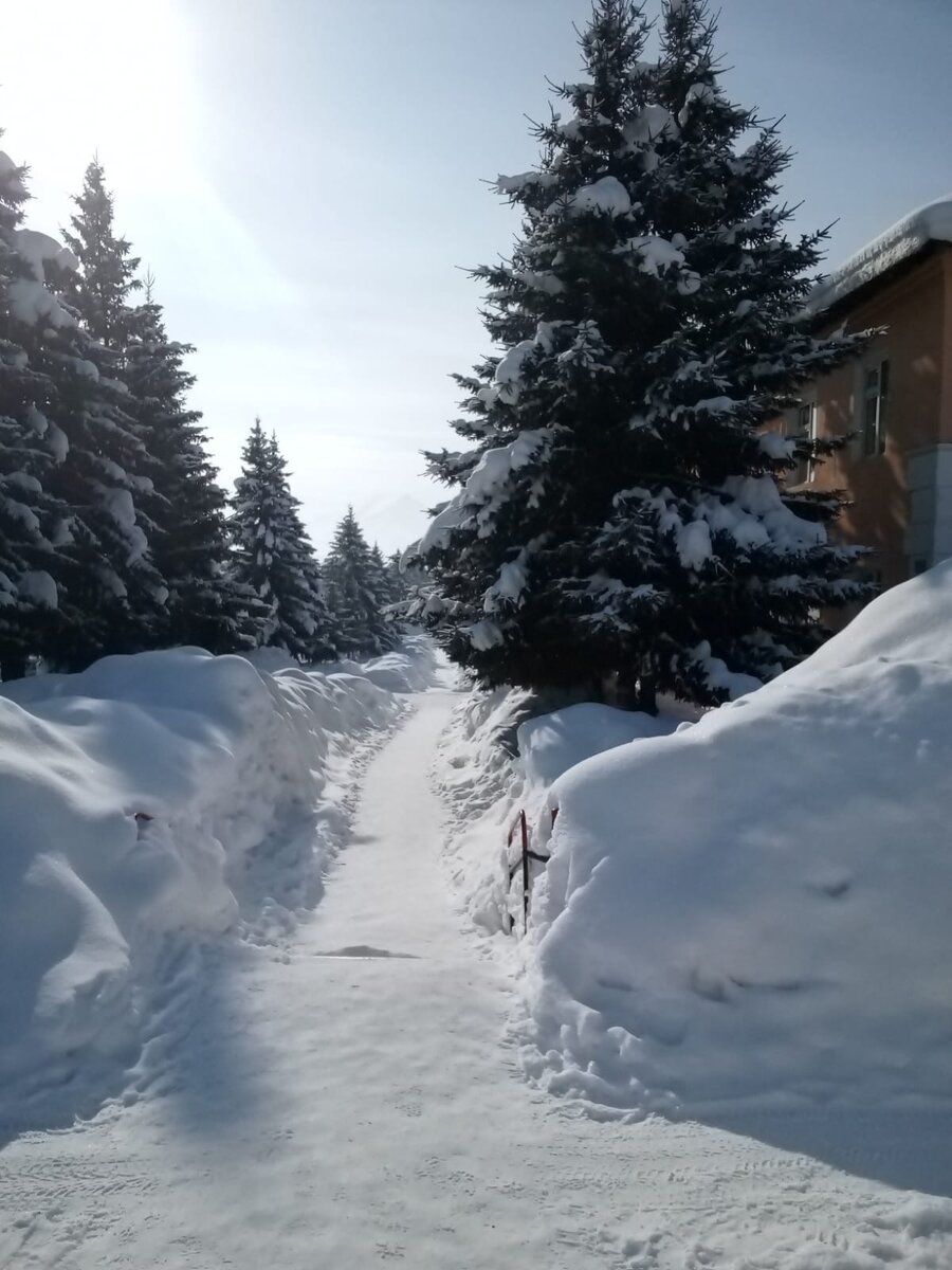 Город Алтай