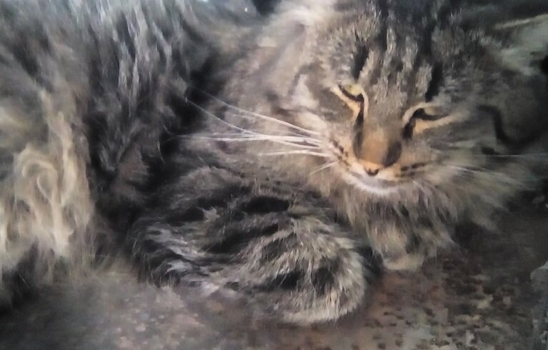 Первенцу Тихону уже 1,5 года