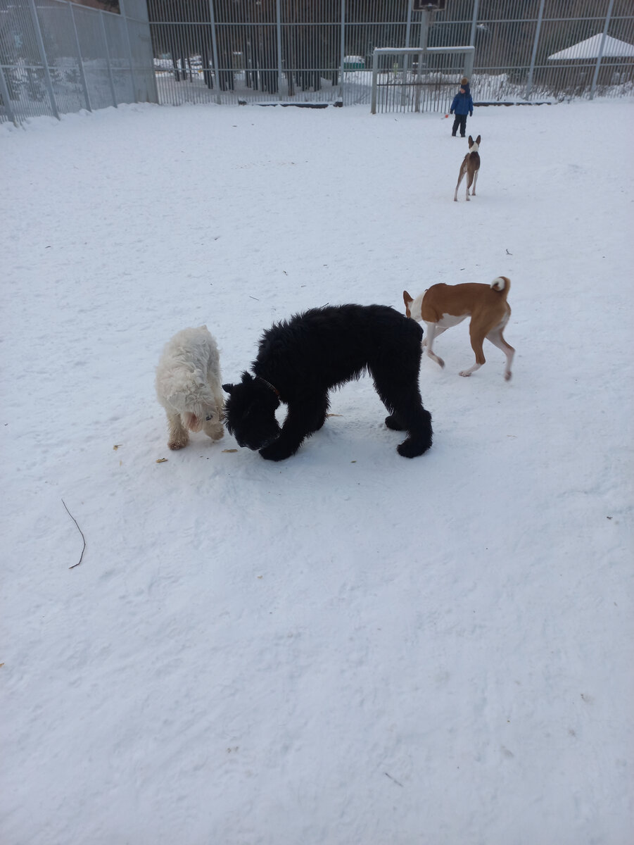 Мы играем с друзьями.  Фотография автора 