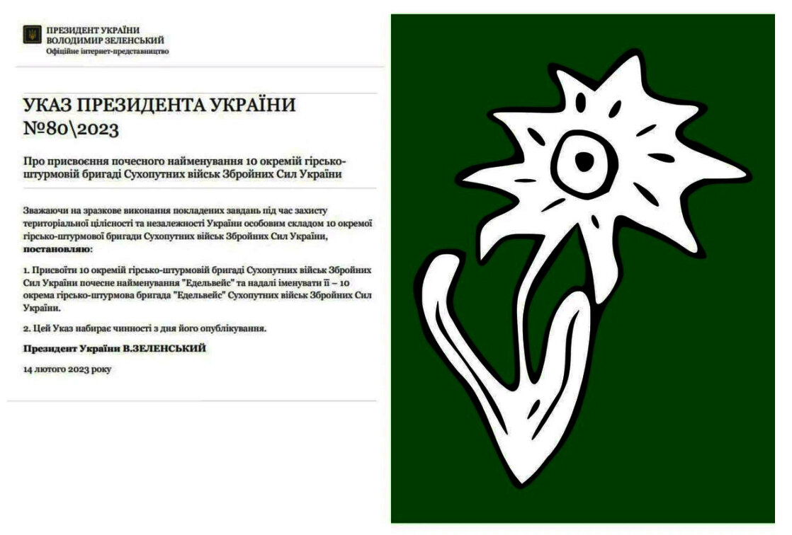 "На Украине фашизма нет": не верь глазам своим