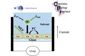    Фото: Лахари Саха