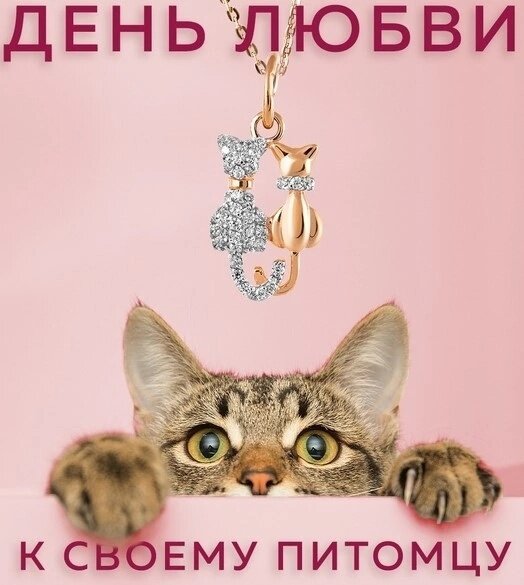 Источник: https://pushkino-24.ru/20-fevralya-den-lyubvi-k-svoemu-pitomcu/