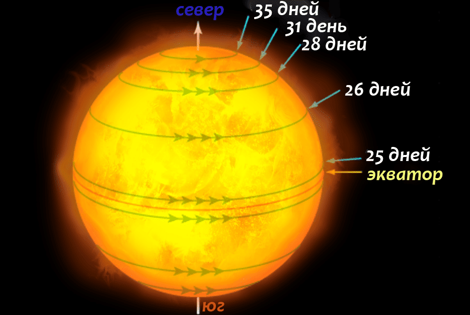 Сколько дней солнцу. Вращение солнца. Осевое вращение солнца. Вращение солнца вокруг оси. Солнце вращается вокруг своей оси.