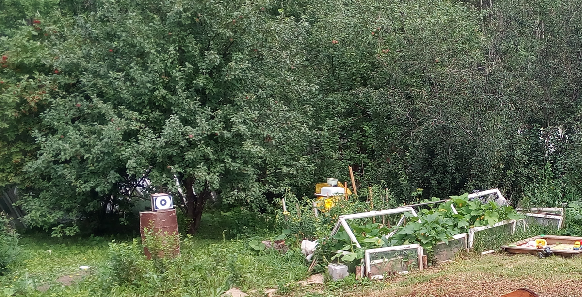 СНТ из которого мы мигрируем