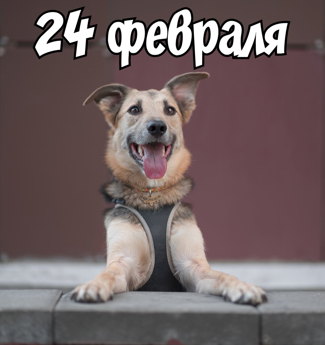 -2