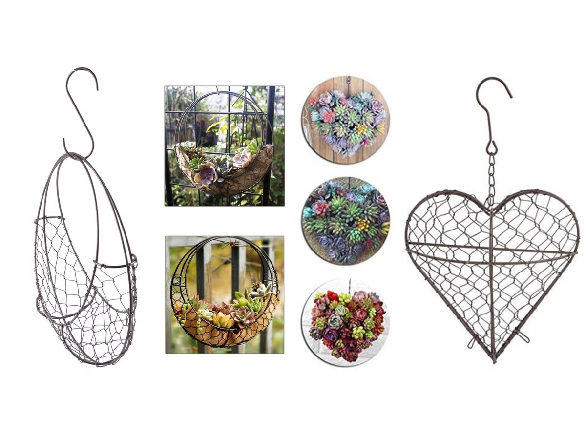 Фотографии с сайта AliExpress.com 