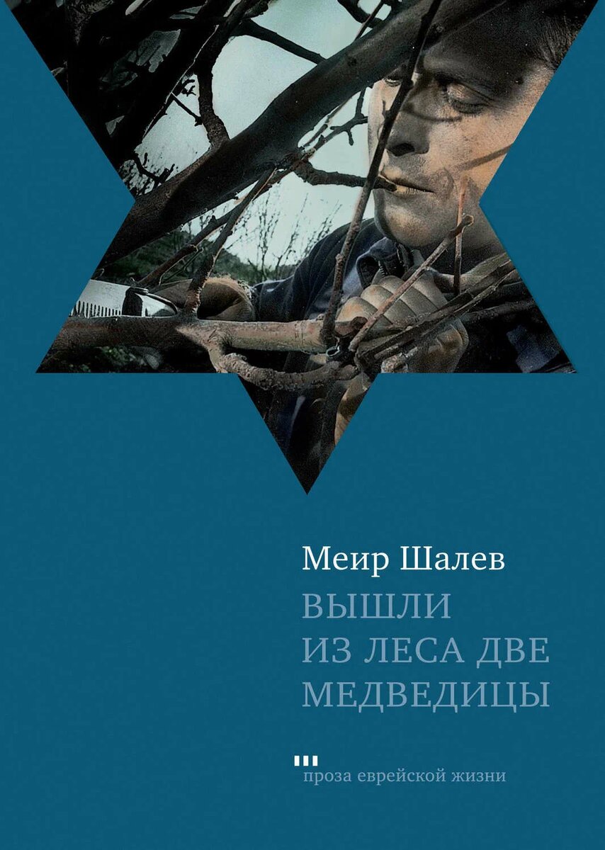 Шалев, Меир. Вышли из леса две медведицы. (Шедевр израильского писателя). |  Валерий Энговатов | Дзен