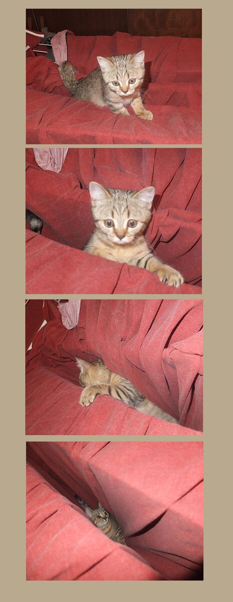 Ой, ой ...опа, ты куда? Уф, вроде мягкая посадка, не так все было и страшно....