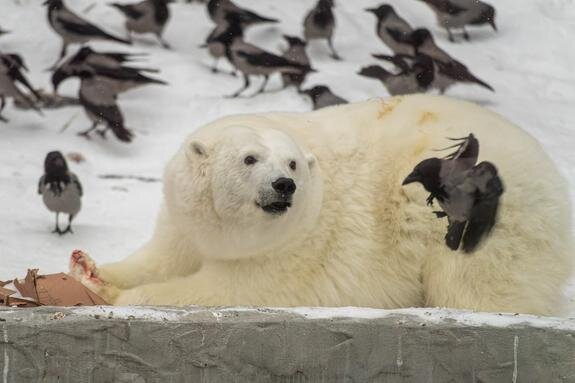    © Komsomolskaya Pravda, Global Look Press