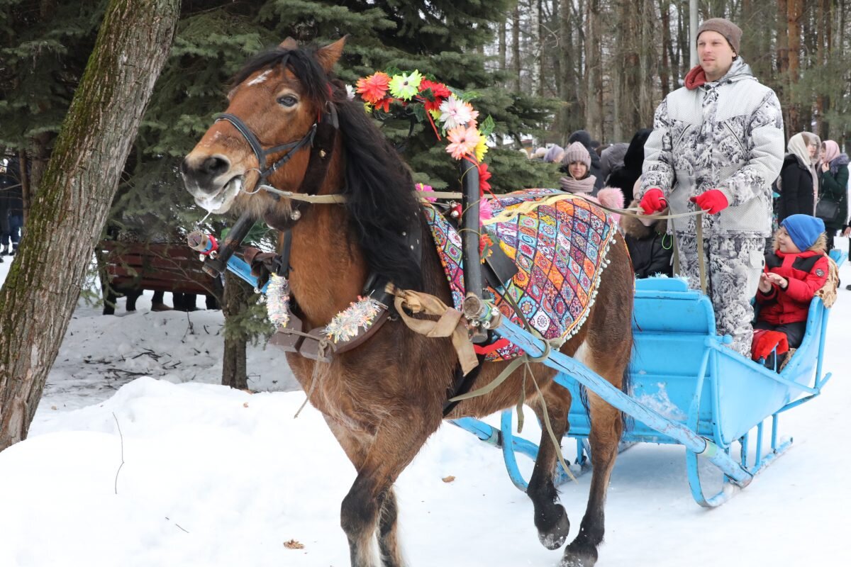    Александр Воложанин Анастасия Красушкина