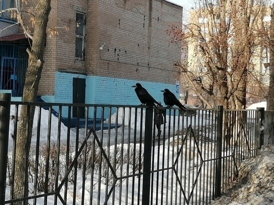     Архив "МК в Оренбурге"