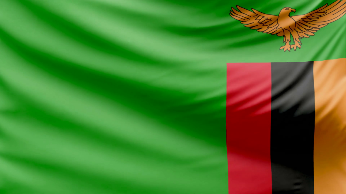 Флаг Республики Замбия с неизменным золотым орланом-крикуном. 