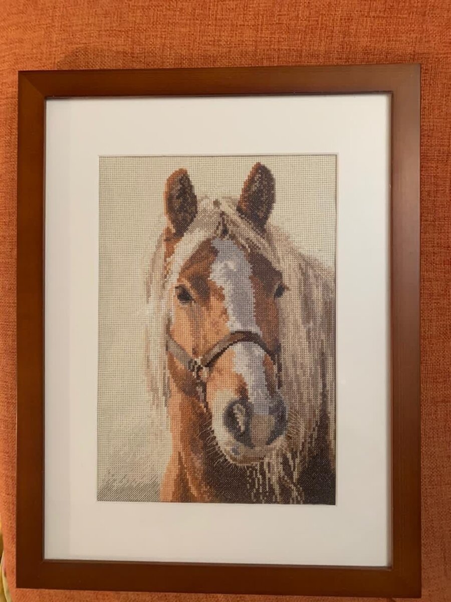 Мудрый и задумчивый взгляд доброй верной лошадки...
