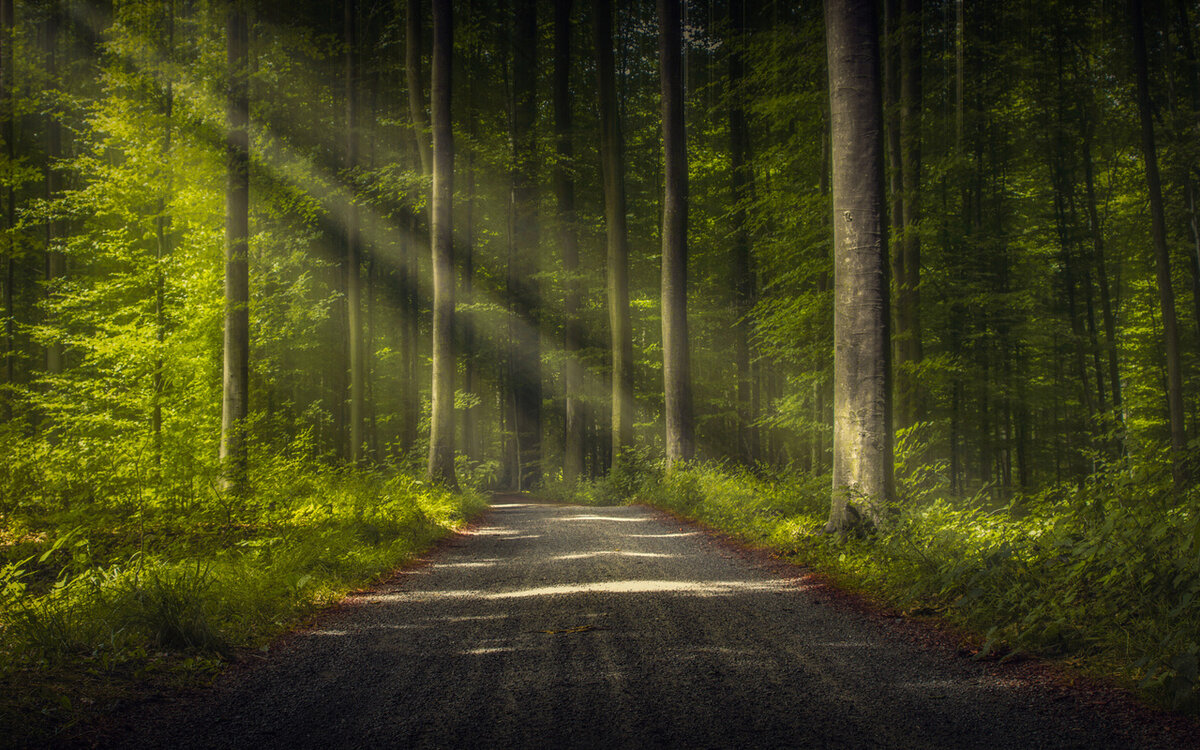 Найдено в интернете