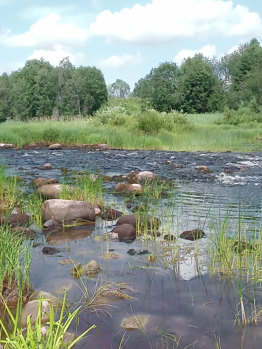 фото из личного альбома