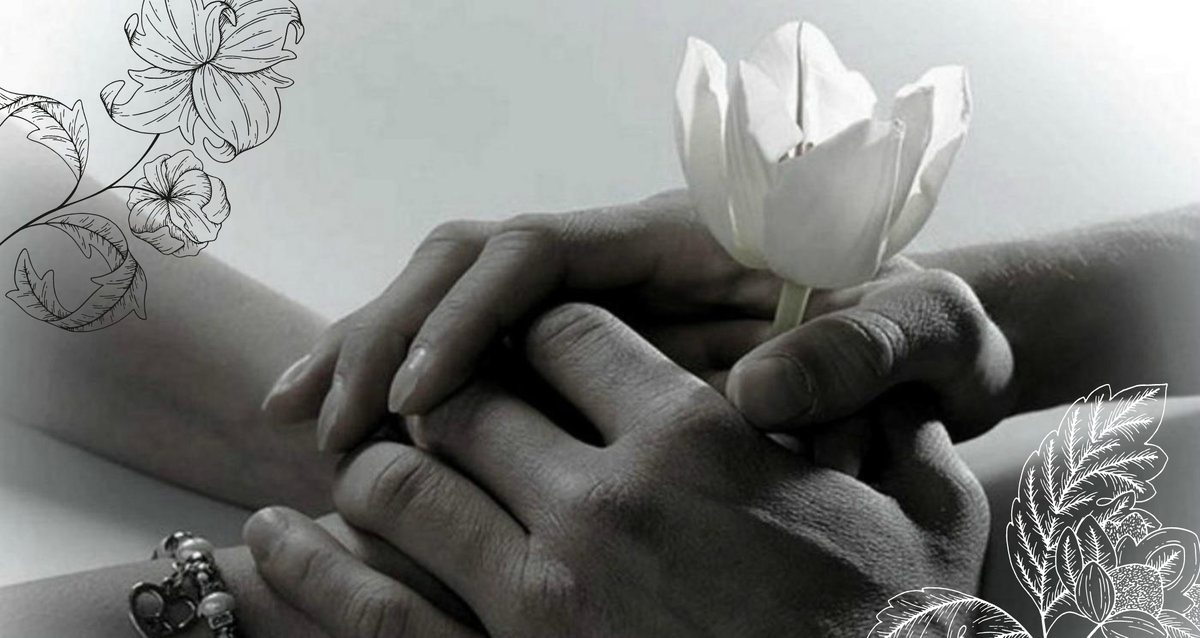 Коллаж создан автором канала в Canva