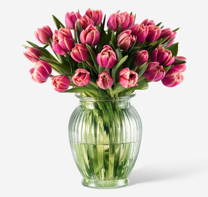 Что означают тюльпаны и к чему их дарят