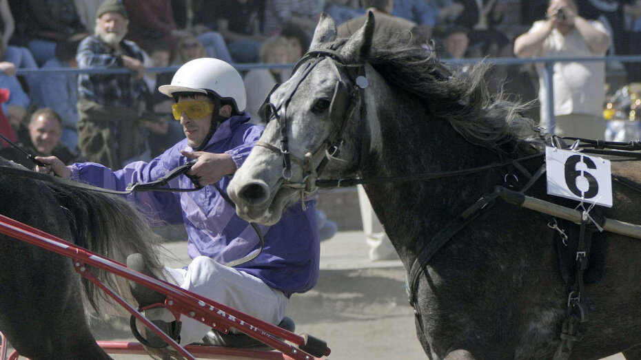    Автор фото: из архива